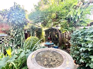 Garden- click for photo gallery